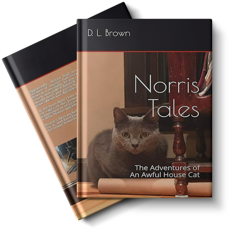 Norris-Tales-1-Cover